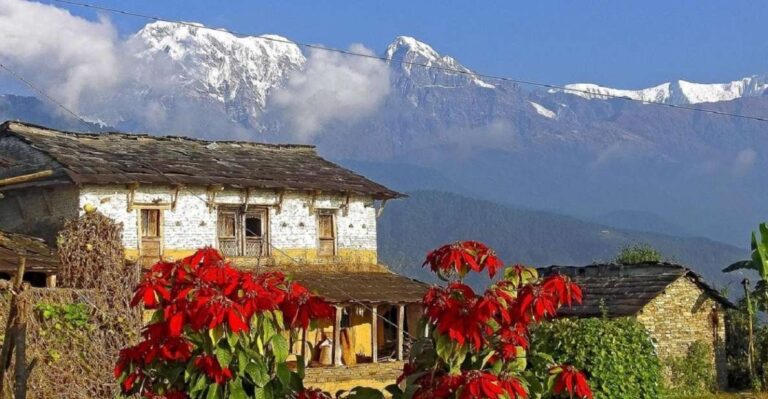 Pokhara: Guided Day Hike to Australian Base Camp