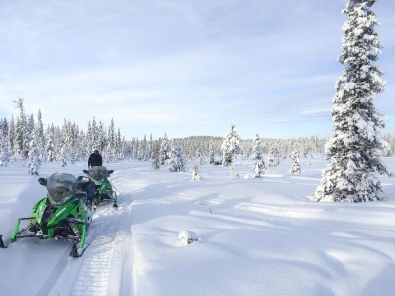 Polar Nature Tour on Snowmobile