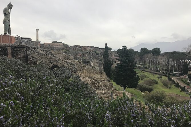Pompeii Wine Tasting Tour From Positano