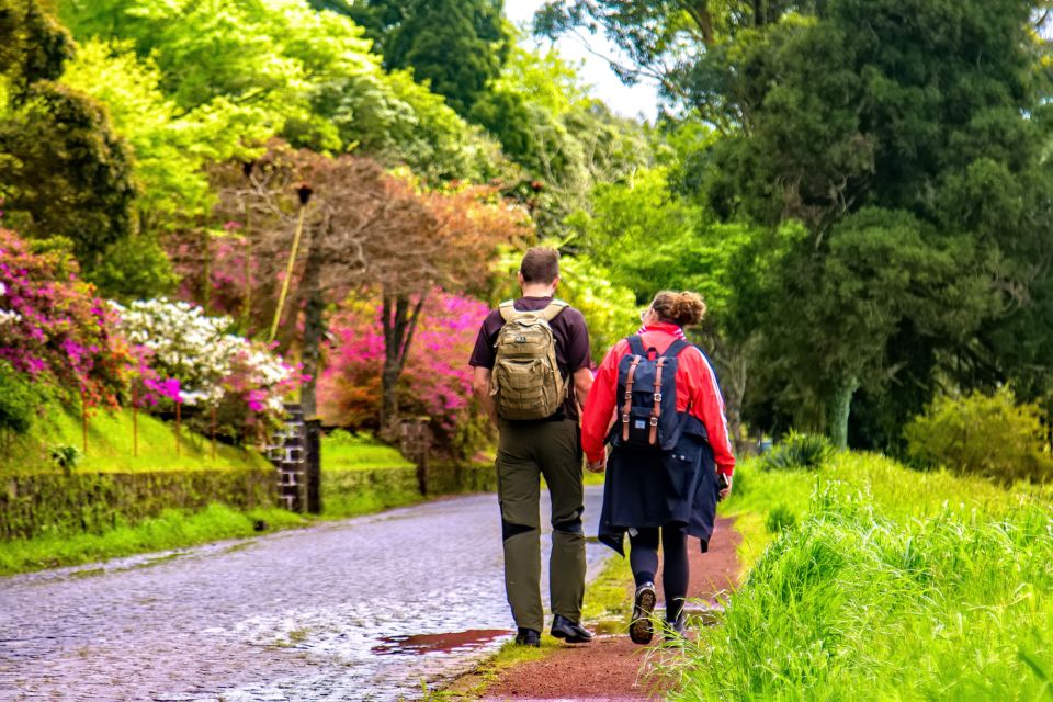 Ponta Delgada: Full-Day Van Tour to Furnas Valley