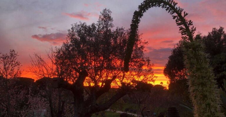 Porches: Sunset Wine Tasting With BBQ