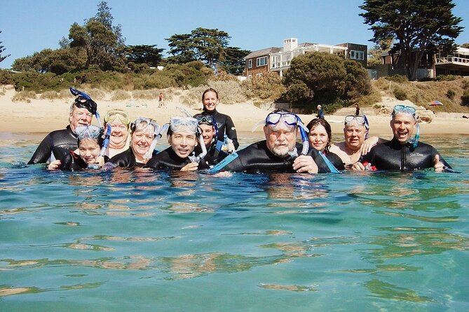 1 port phillip bay snorkeling with sea dragons Port Phillip Bay Snorkeling With Sea Dragons