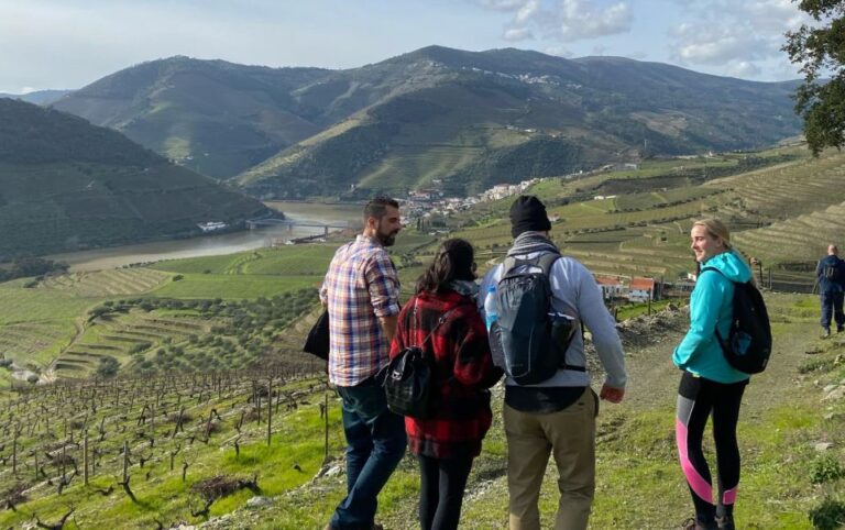 Porto: Douro Valley Hike, Winery Visit and Tasting
