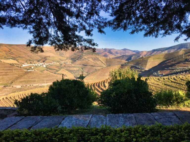 Porto: Douro Valley Tour With 3 Wineries & Lunch