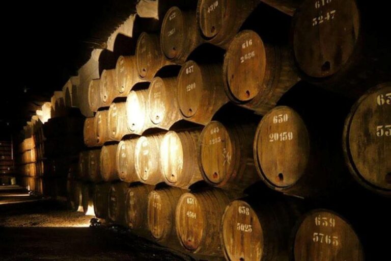 Porto: Douro Valley Wine Tour