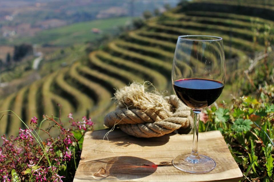 1 porto douro valley wine tour with lunch Porto: Douro Valley Wine Tour With Lunch