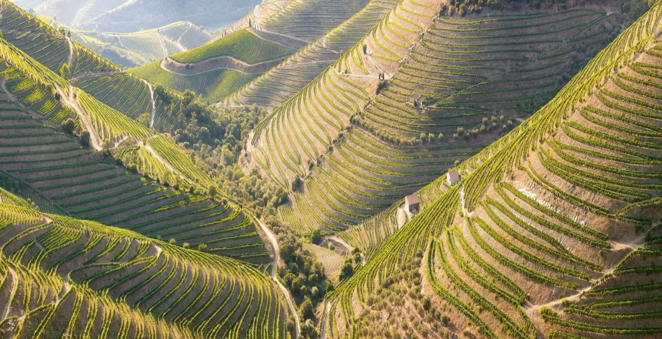 1 porto private tour wineries tastings picnic boat trip Porto: Private Tour - Wineries, Tastings, Picnic, Boat Trip