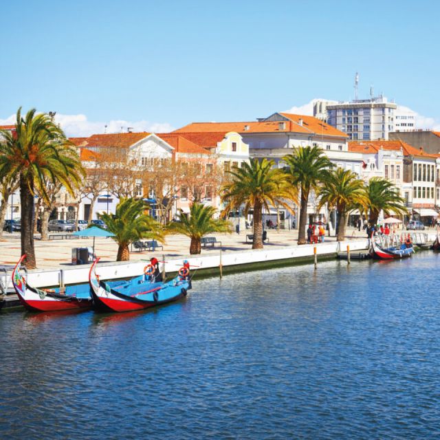 Porto to Aveiro Delights – Beaches, Castles, Wine and Canals