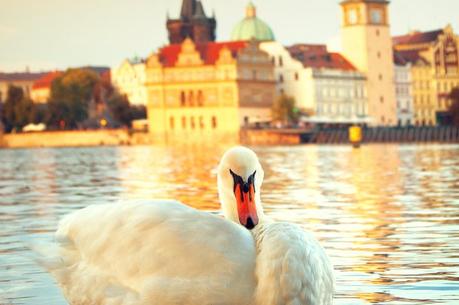 Prague City Tour: Lesser Town & Prague Castle