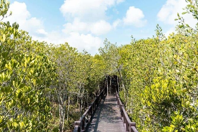 Pranburi Forest Park and Khao Daeng Join Tour From Hua Hin