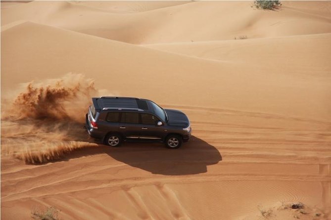 Premium Full-Day Safari, Dune Bash, Camel Ride and BBQ Meal in Desert Camp