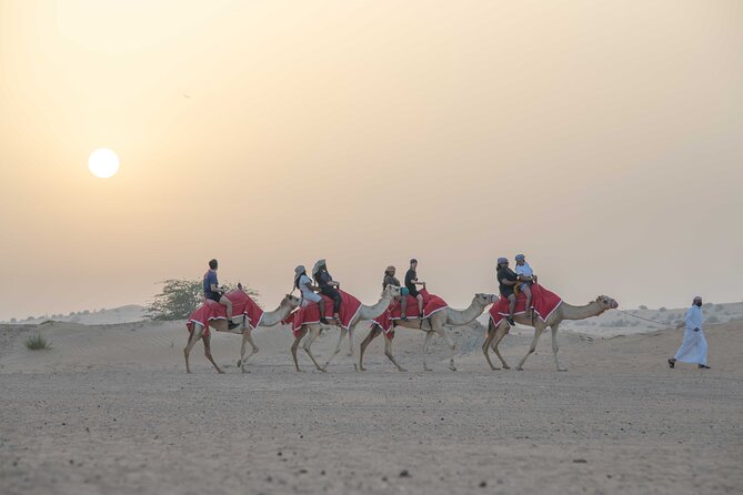 1 premium red dunes bashing with quad bike camel falcon vip camp Premium Red Dunes Bashing With Quad Bike, Camel, Falcon &Vip Camp