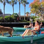 1 premium single kayak rental in crystal river florida Premium Single Kayak Rental In Crystal River, Florida