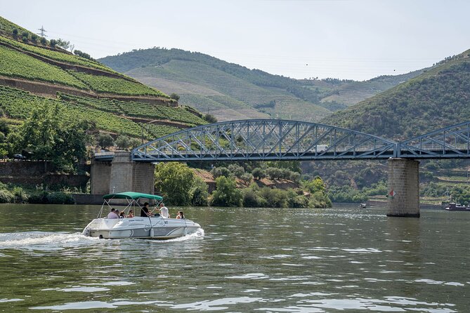 Premium Small Group Douro Valley Wine Tour With Lunch and Cruise