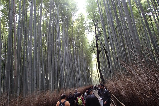 Private 1 Day Kyoto Tour Including Arashiyama Bamboo Grove and Golden Pavillion