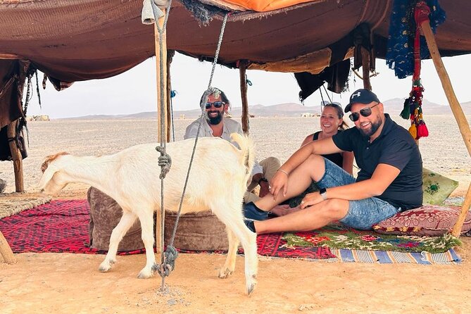 1 private 1 night 2 day tour luxury camps desert from fes to fes Private- 1 Night 2 Day Tour Luxury Camps Desert From Fes to Fes