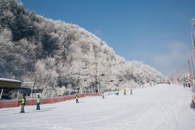 Private 1:1 Ski Lesson Near Seoul, South Korea
