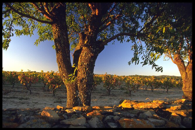 1 private 2 day visit to discover the minervois vineyards Private 2-Day Visit to Discover the Minervois Vineyards