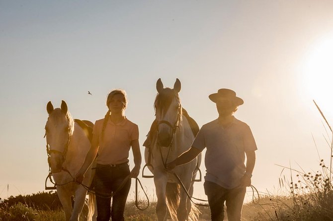 1 private 75 minute horseback riding tour on the beach setubal district Private 75-Minute Horseback Riding Tour on the Beach - Setubal District