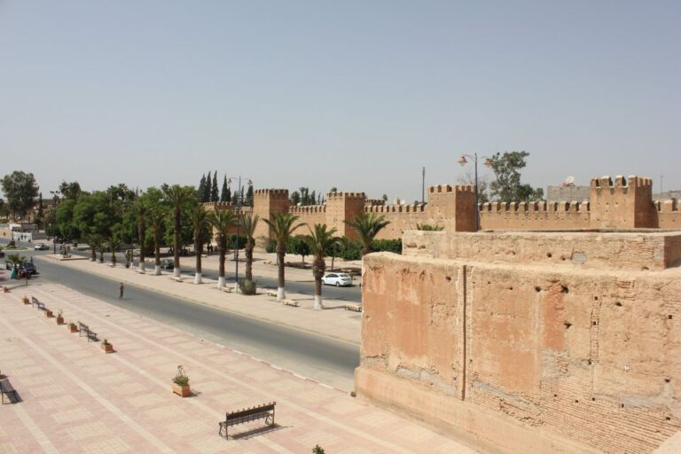 Private: Agadir to Taroudant and Tiout Oasis Trip With Lunch