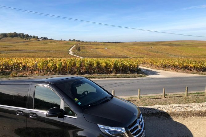 Private Airport Shuttle in Champagne (Group Price)