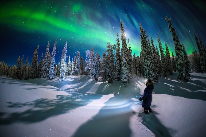 Private Aurora Hunting Through the Forests of Lapland