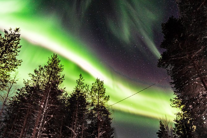 Private Aurora Tour by Lapland Welcome Aurora Experts for 1-4 Persons