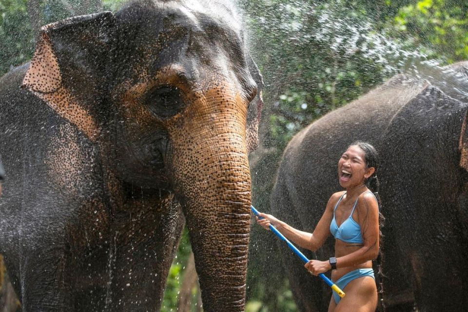 Private Beach With Bathing and Take Care Elephant