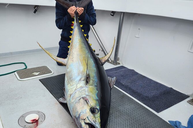 1 private big game fishing charter from tutukaka northland Private Big Game Fishing Charter From Tutukaka, Northland