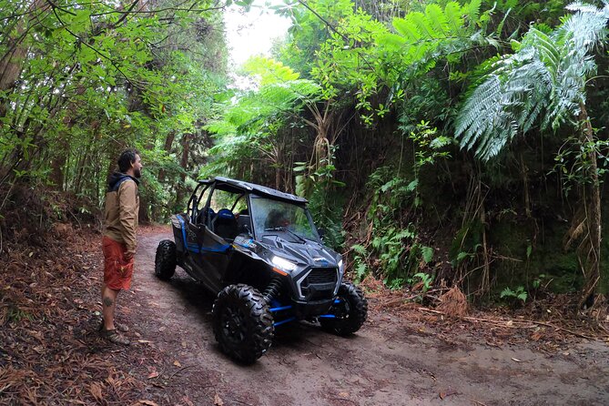 Private Buggy Off-Road Tour