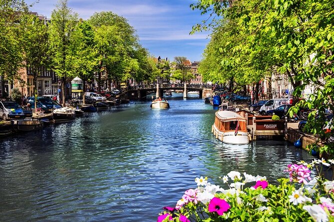 Private Canal Serenity: Morning/Afternoon Tea Cruise in Amsterdam