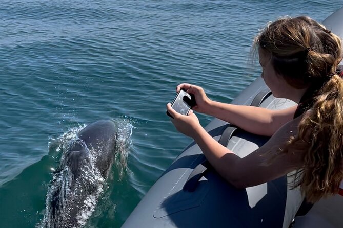 Private Coastal Boat Tour in Torquay