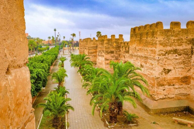 Private Day Excursion to Taroudant Oissis Tiout With Lunch