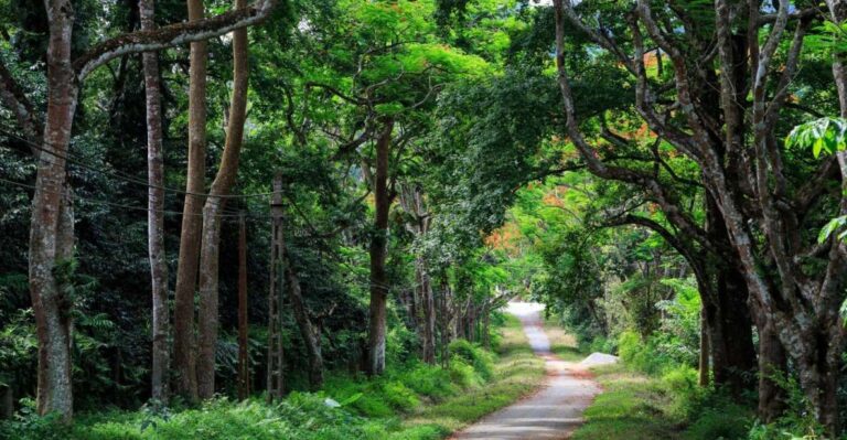 Private Day Tour: Cuc Phuong National Park From Hanoi