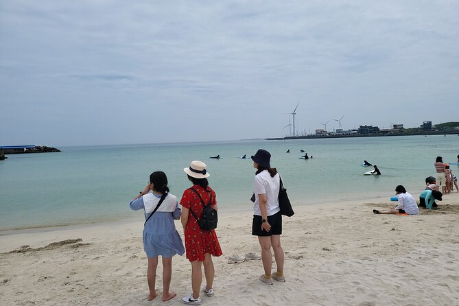 Private Day Tour East & South & West of Place in Jeju Island