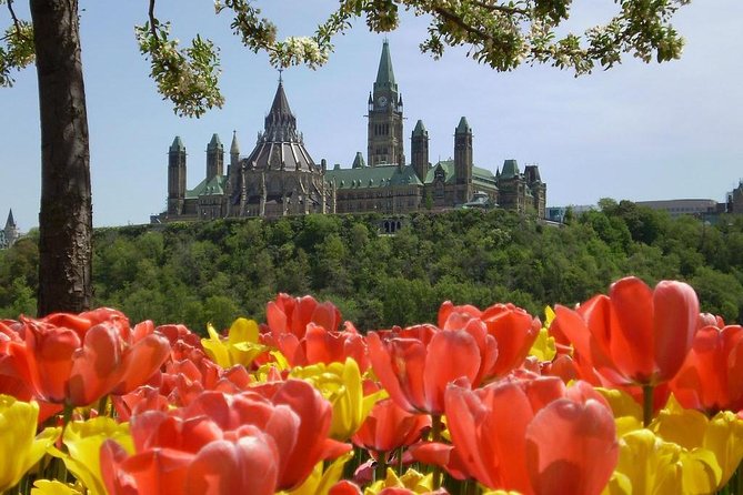 Private Day Tour OTTAWA Tulip Festival May 10-20 From MONTREAL
