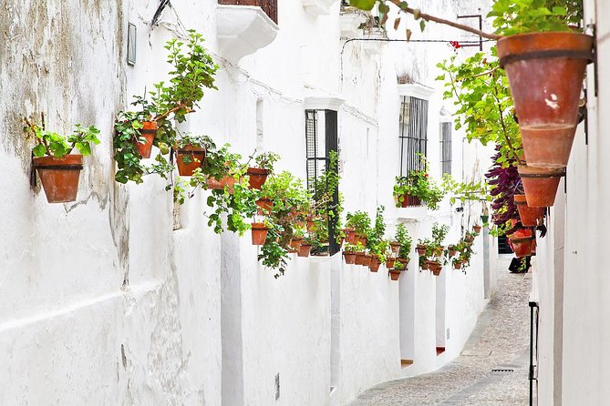 *Private Day Trip* From Cádiz: the White Towns of Andalusia