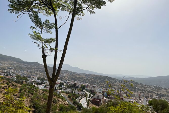 Private Day Trip From Casablanca to the Blue City Chefchaouen - Discover Local Artisans and Markets