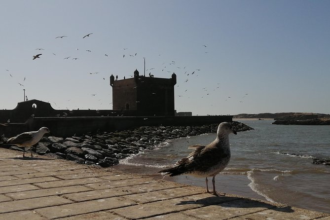 Private Day Trip From Marrakech to Essaouira