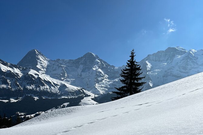 Private Day Trip in the Heart of the ALPS – Jungfrau Region