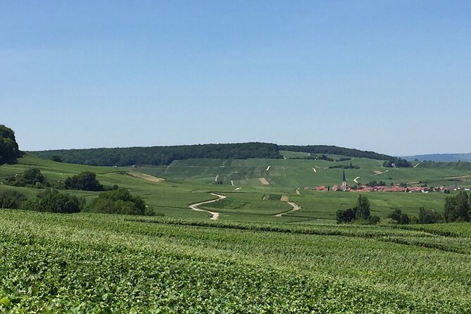 Private Day Trip to Champagne Region With Lunch