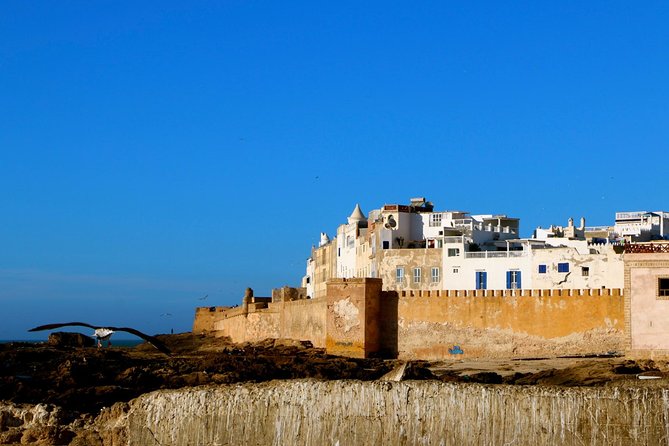 Private Day Trip to Essaouira From Marrakech Including Camel Ride at the Beach