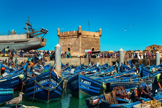 Private Day Trip to Essaouira From Marrakesh