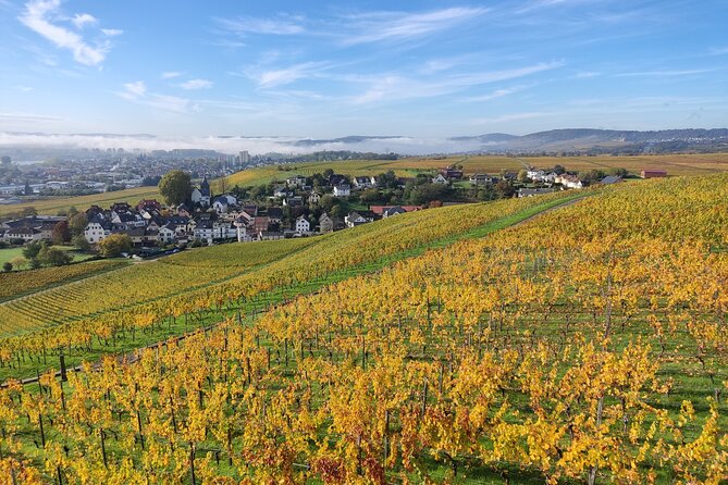 1 private day trip to the romantic rhine valley with river cruise and wine tasting Private Day Trip to the Romantic Rhine Valley With River Cruise and Wine Tasting