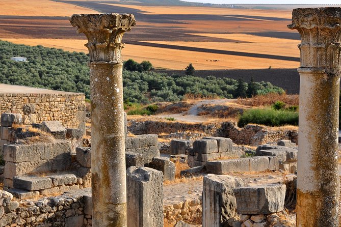 Private Day Trip to Volubilis Meknes and Moulay Driss From Fez