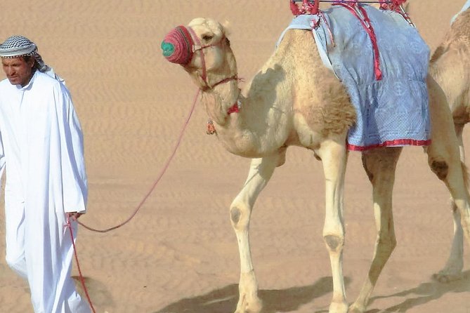 Private Doha Desert With Dune Bash, Camel Ride and Inland Sea