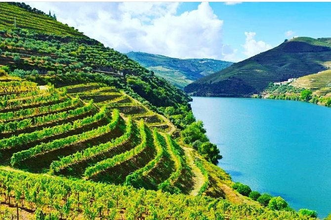 Private Douro Valley Food and Wine Tour From Porto