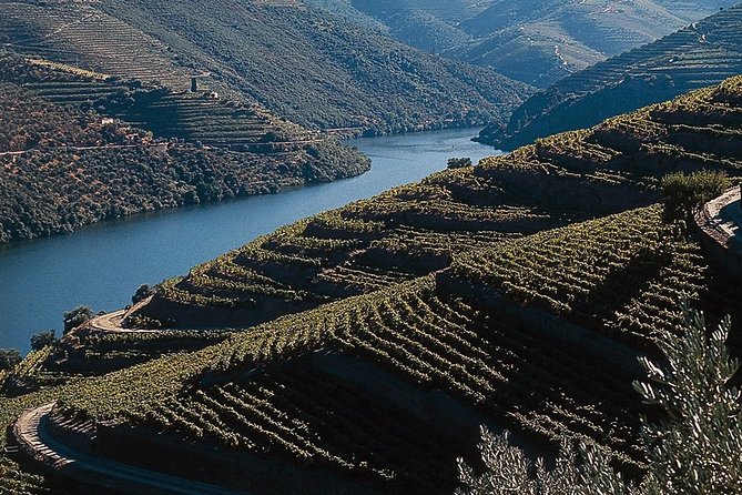 Private Douro Valley Tour Includes Wine Tasting and Boat Tour
