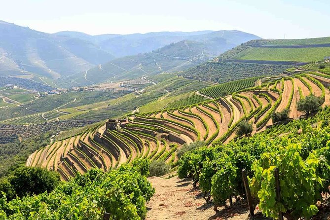 Private Douro Valley Tour Including 3 Wineries