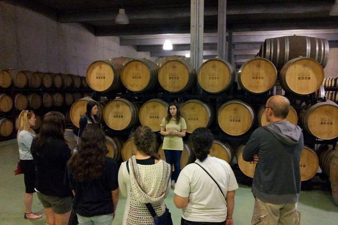 Private Douro Valley Wine Tour: 2 Wine Estates, Lunch and Cruise